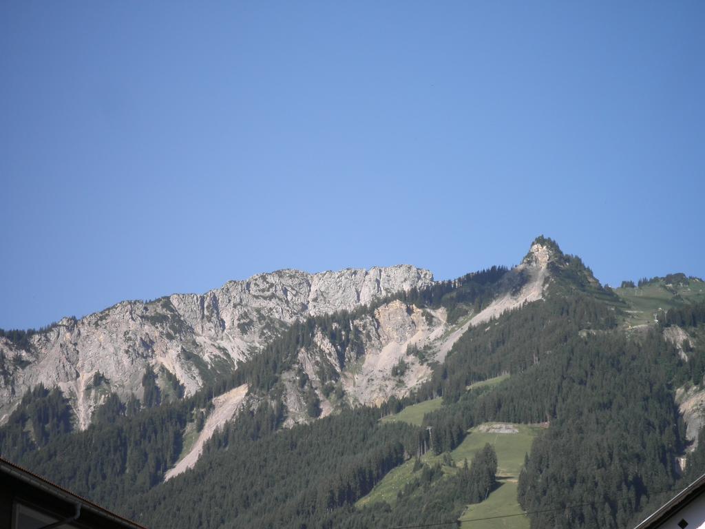 Apartment Haus Sonnblick Waengle